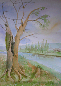 Dietario desde mi jardín - El Olmo Seco