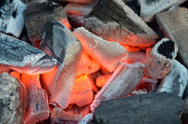 Las brasas de la democracia